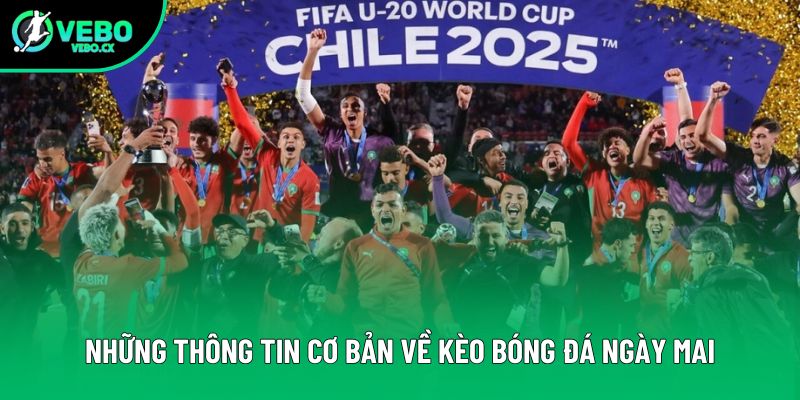 Những thông tin cơ bản về kèo bóng đá ngày mai Những thông tin cơ bản về kèo bóng đá ngày mai
